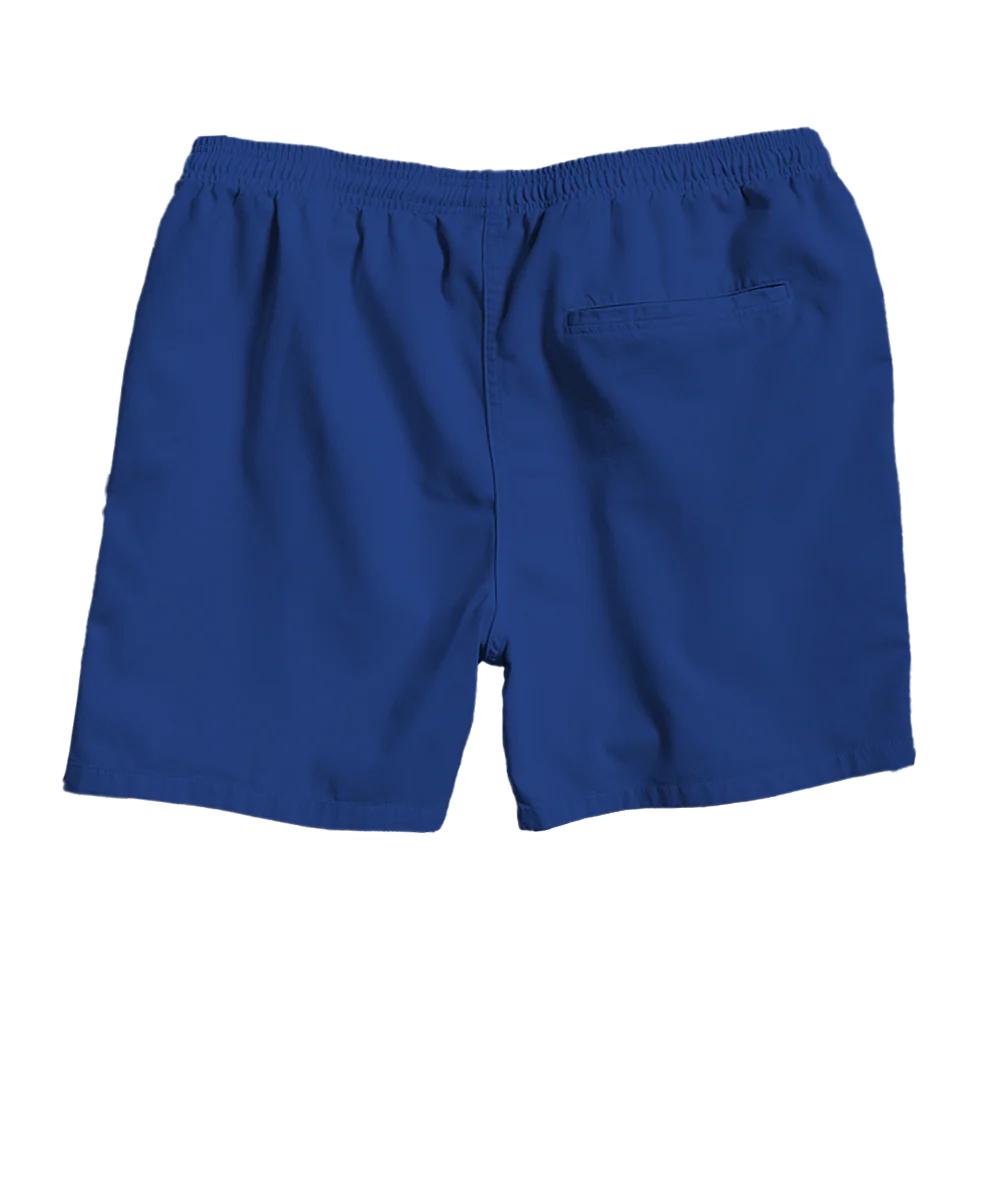Blueberry Dyed Crazyshorts® Twill Shorts - Image 4