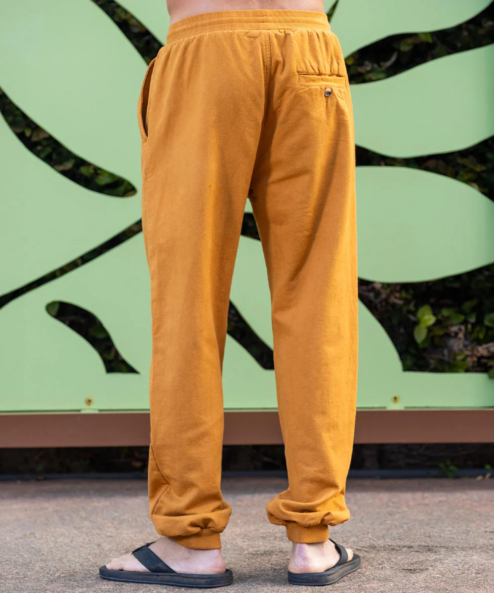 Desert Clay Canton Pants - Image 3
