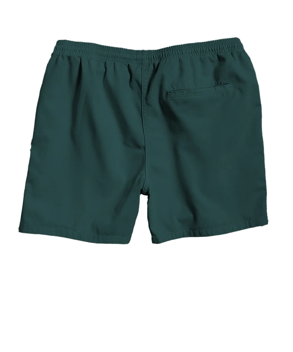 Pine Dyed Crazyshorts® Twill Shorts - Image 4